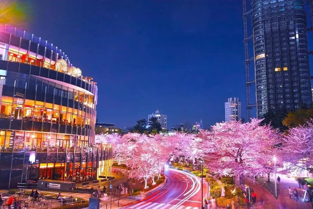 Oriens Shibuya 201 Apartment Tokyo Japan